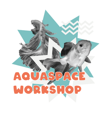 AQUASPACE WORKSHOP